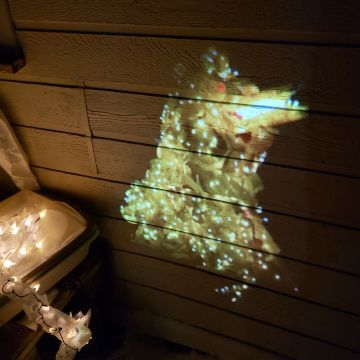 A projected video of the Creature accompanies Margaret Craig's installation at Light Up! in Skagaströnd, Iceland.
