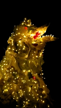 Night shot of the Creature