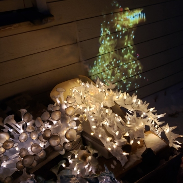 A projected video of the Creature accompanies Margaret Craig's installation at Light Up! in Skagaströnd, Iceland.